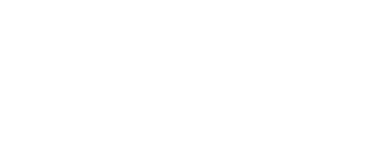 StreamShapers logo mono