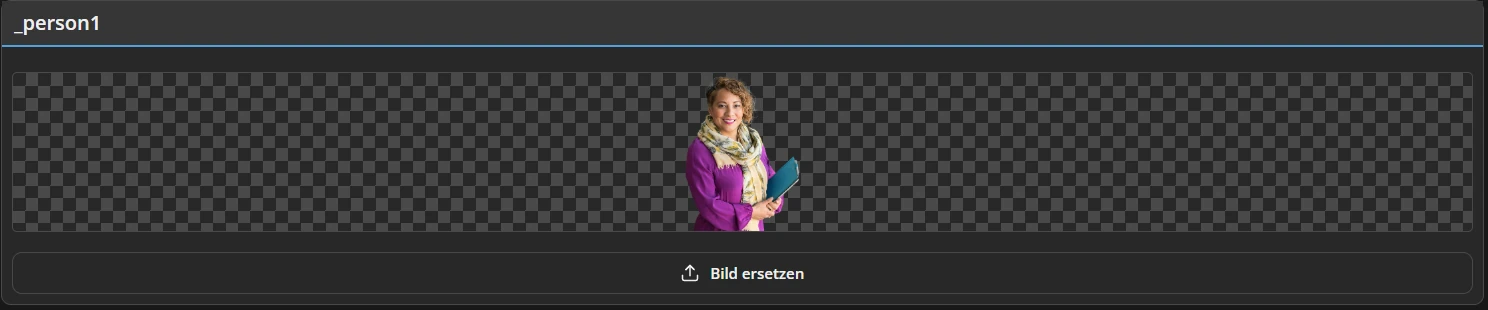 An editable portrait image field with a Replace Image button.